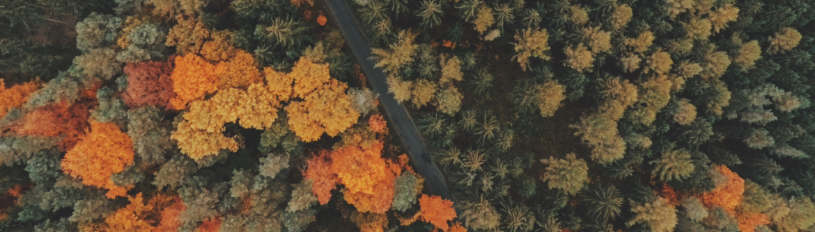 Fall Motorcycle Riding Guide: Embrace the Season Safely