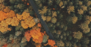 Fall Motorcycle Riding Guide: Embrace the Season Safely